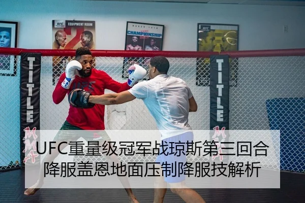 UFC重量级冠军战琼斯第三回合降服盖恩地面压制降服技解析