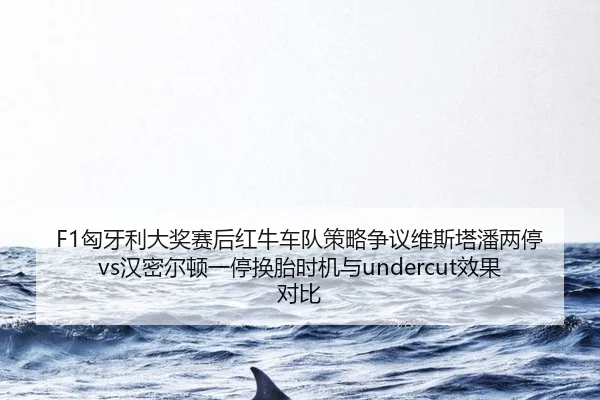 xiong-ya-li-da-jiang-sai-hou-hong-niu-che-dui-ce-lve-zheng-yi-wei-si-ta-pan-liang-ting-han-mi-er-dun-yi-ting-huan-tai-3-625.jpg